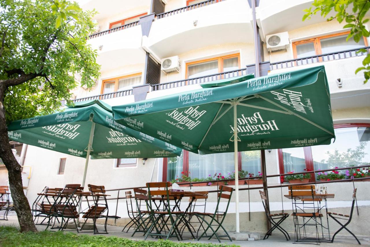 Hotel Panoramic Римніку-Вилча Екстер'єр фото