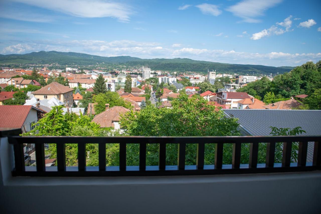 Hotel Panoramic Римніку-Вилча Екстер'єр фото